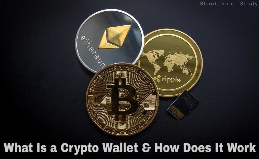 What Is a Crypto Wallet and How Does It Work Cryptocurrency?